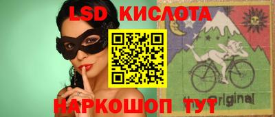 крисы Кулебаки