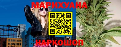 крисы Кулебаки