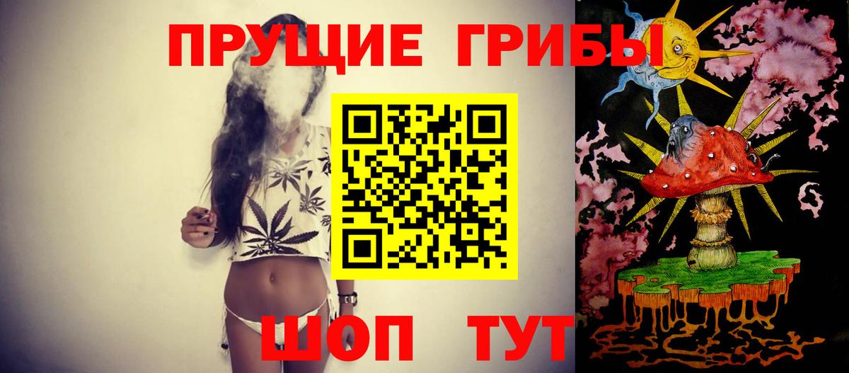Галлюциногенные грибы Cubensis Гатчина