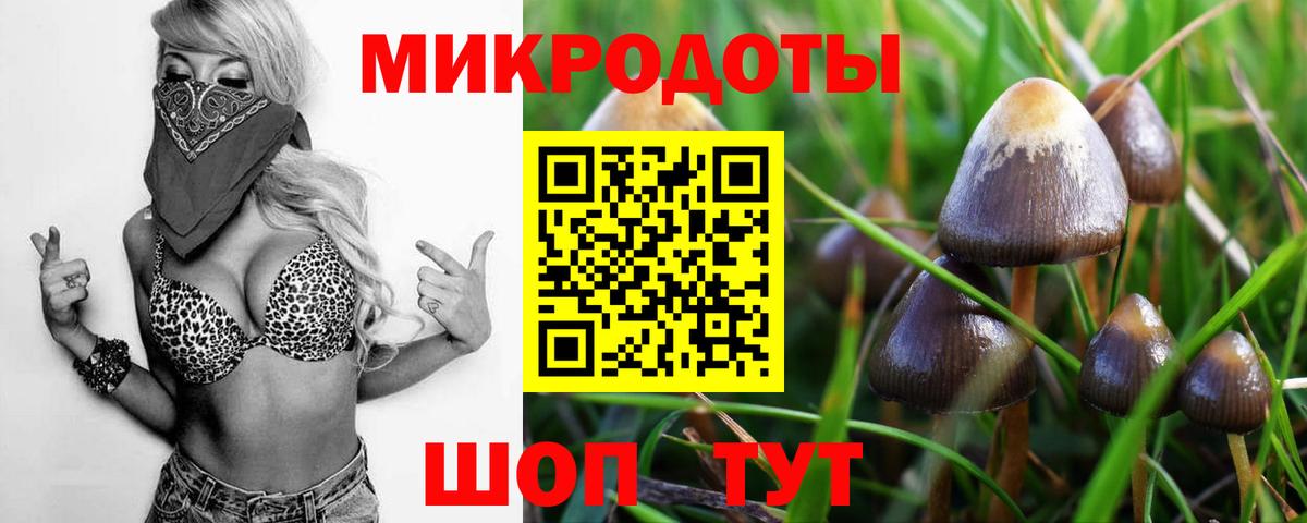 Гатчина  Псилоцибиновые грибы мицелий  Вход с VPN 
