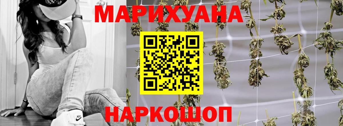Бошки Шишки SATIVA & INDICA  Марихуана план  Гатчина  Вход с VPN  Каннабис Amnesia 